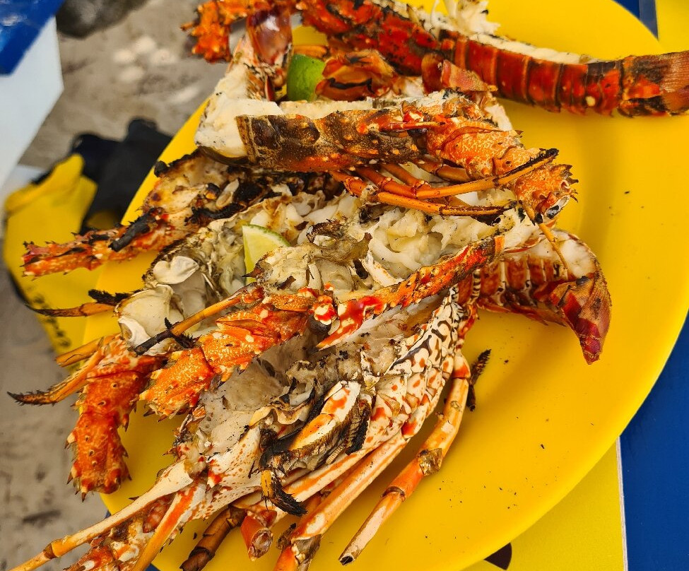 Franconero Escursioni-Bayahibe必去景点