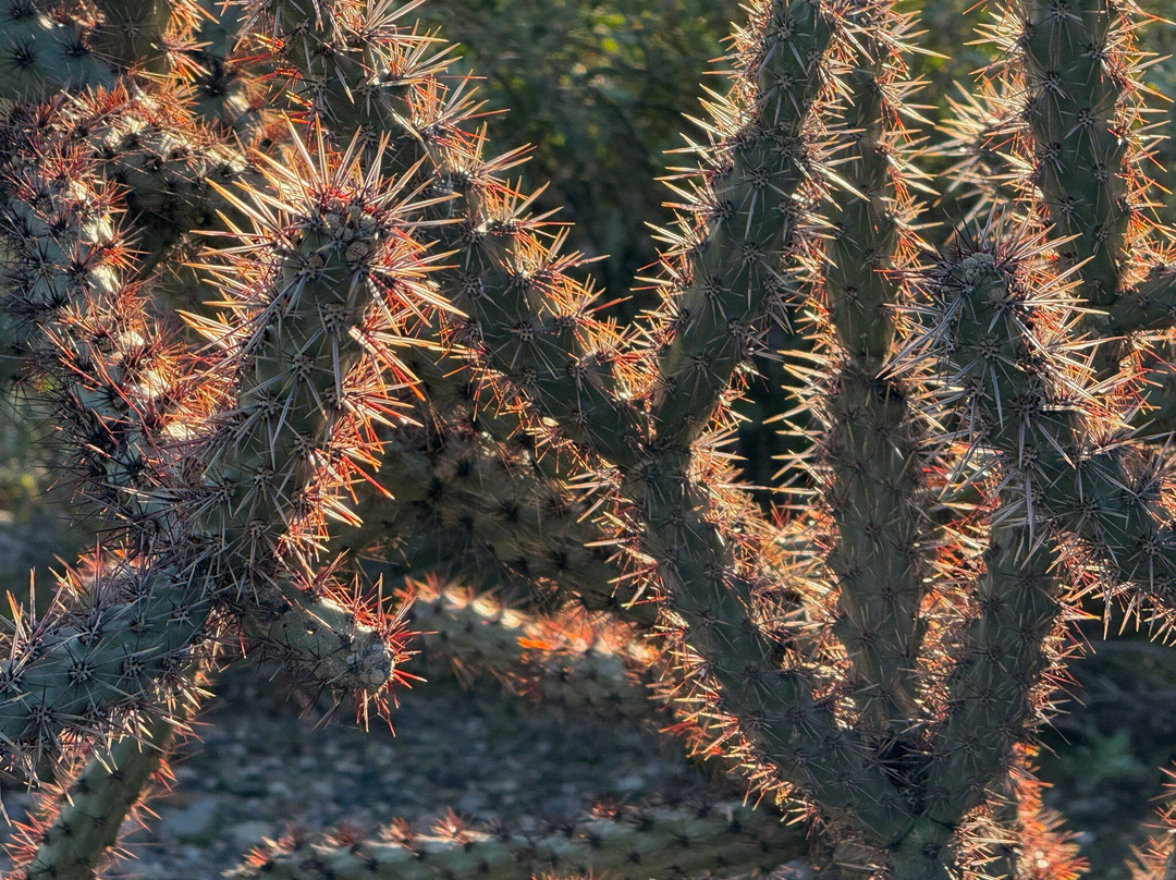 The Gateway Trailhead-斯科茨代尔必去景点