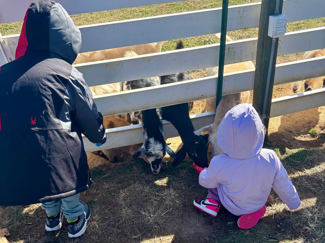 Winchester Creek Farm-韦恩斯维尔必去景点