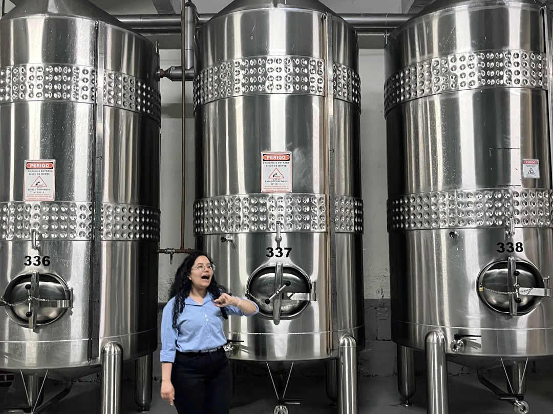 Aurora Winery-本图贡萨尔维斯必去景点