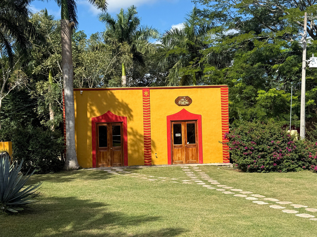 Taxi Personalizado-巴利亚多利德必去景点