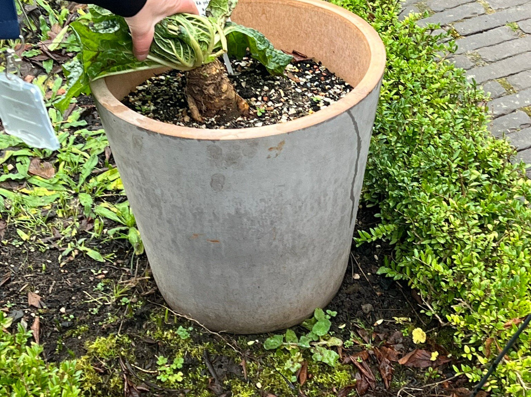 The Alnwick Garden-阿尼克必去景点