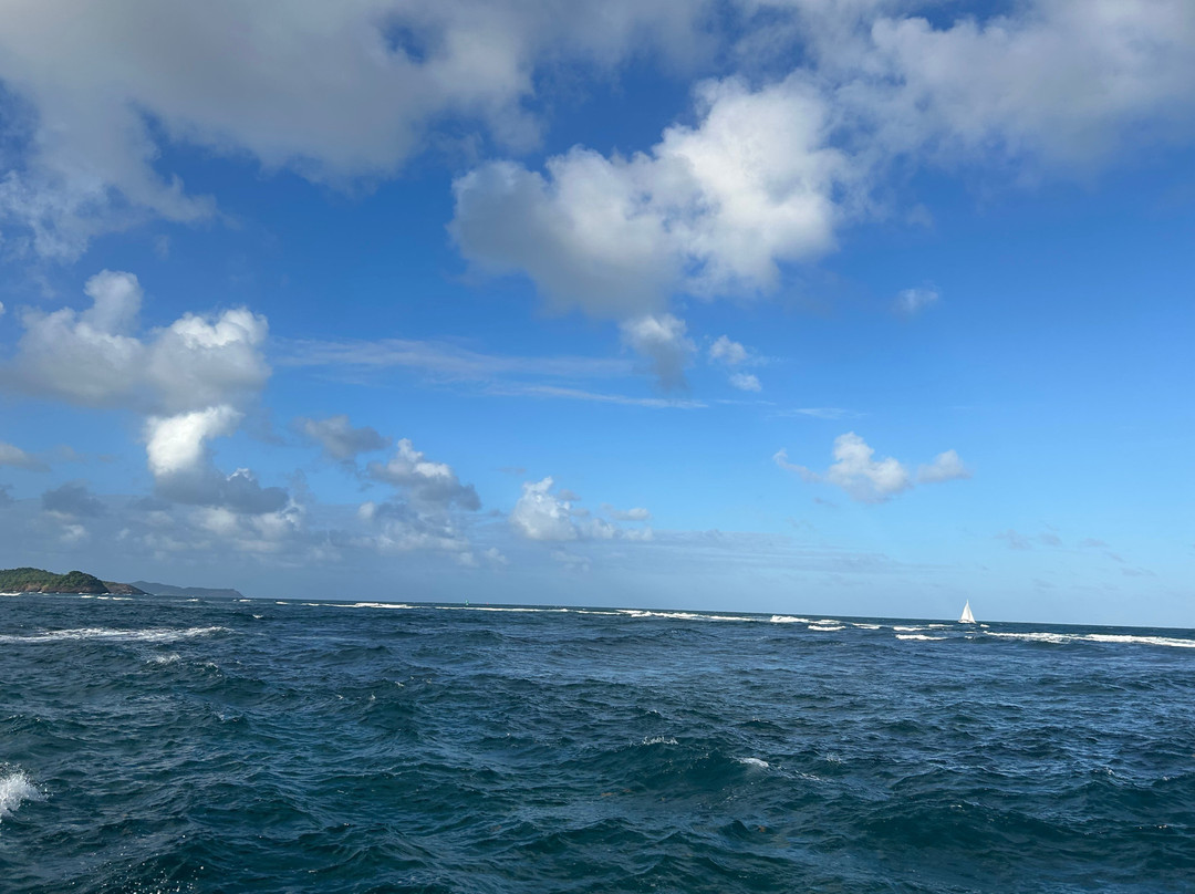 Les Ballades du Delphis-Le Francois必去景点