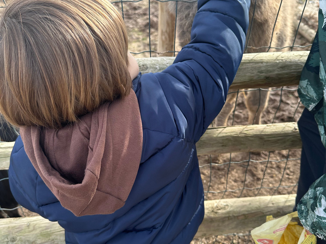 Tierra Rapaz-Calahorra必去景点