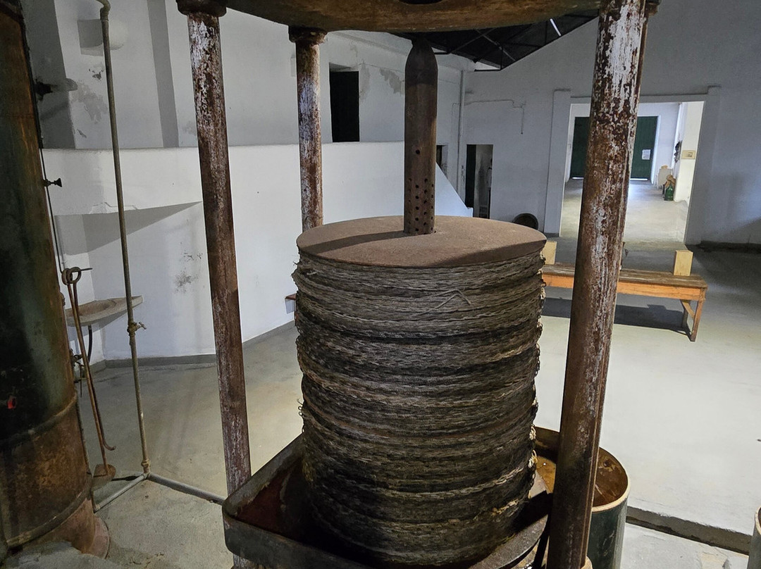 Azeite Casa Anadia - Olive Oil & Tours-Abrantes必去景点