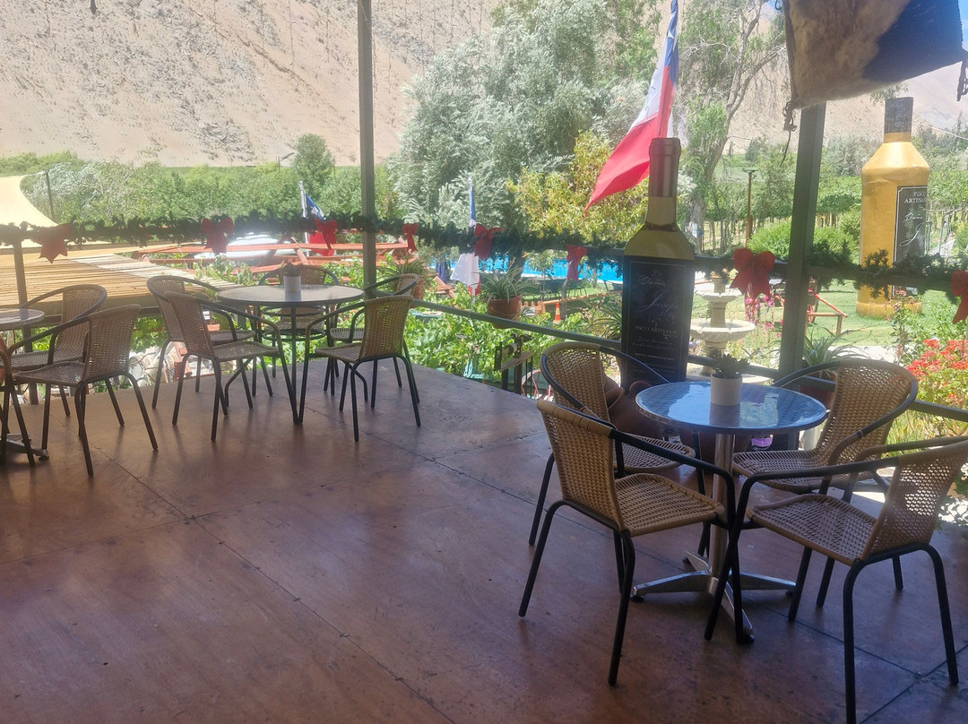 Doña Josefa de Elqui - Pisco Artesanal-Pisco Elqui必去景点