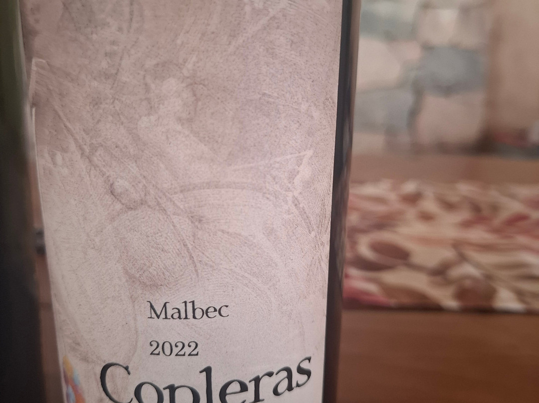 Bodega Kindgard-普尔马马尔卡必去景点