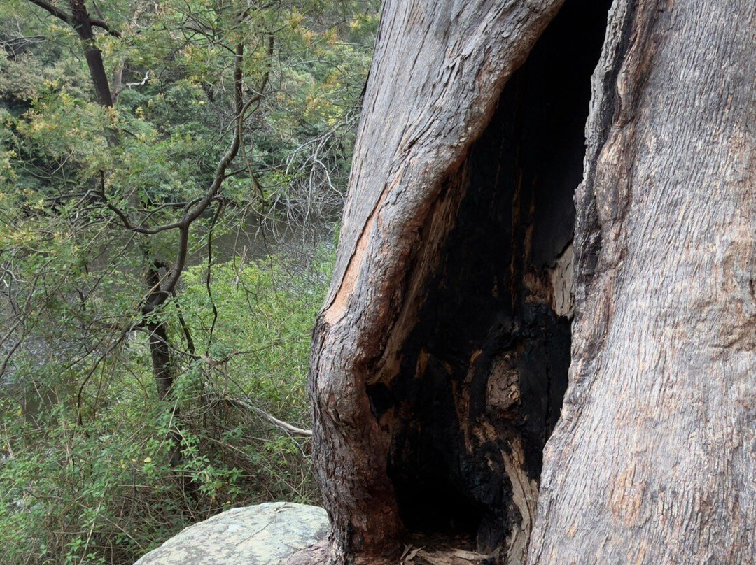 兰湾国家公园-Macquarie Park必去景点