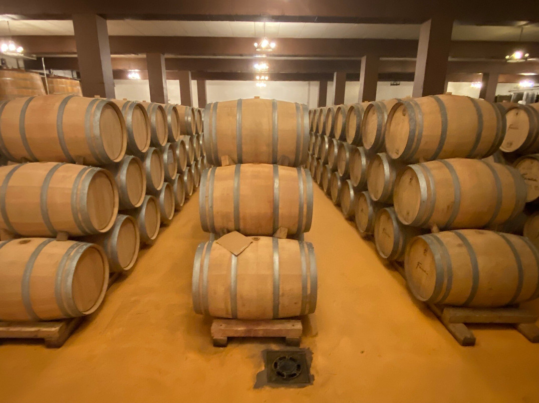 Bodegas Fariña-Toro必去景点