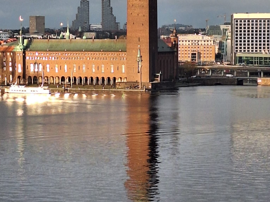 Stoccolma con Mary - visite guidate-斯德哥尔摩必去景点