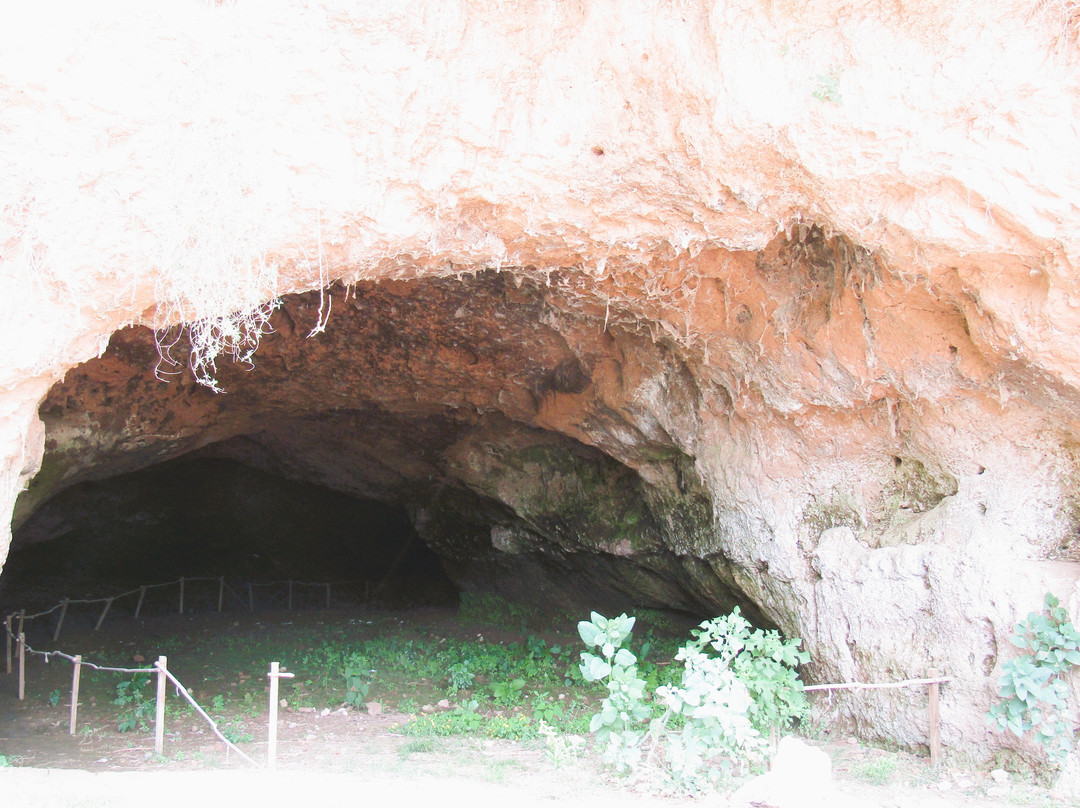 Cueva La Salamanca-San Pedro必去景点
