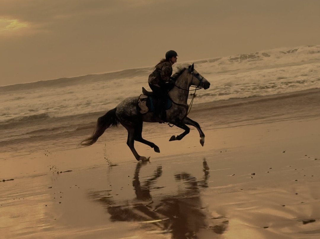 Cheval Essaouira-索维拉必去景点