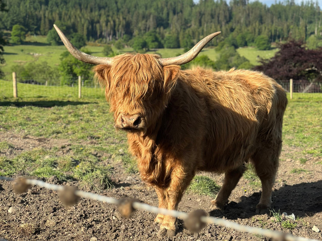 1st Class Chauffeuring Scotland Limited-爱丁堡必去景点