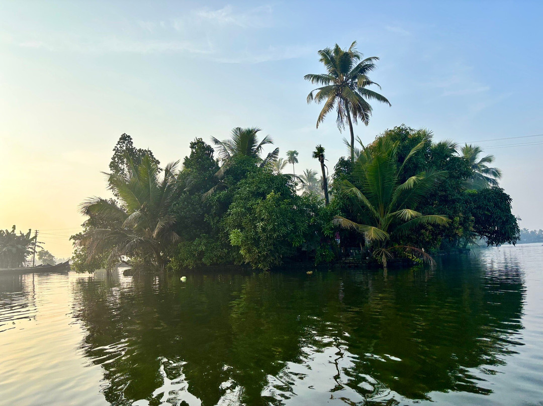 Green Palm Homes主图