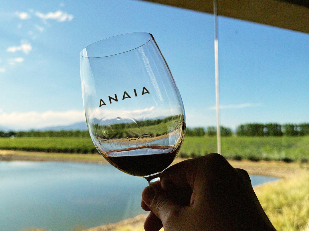 Anaia Wines-阿格雷洛必去景点