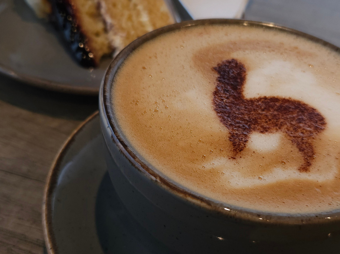 The Alpaca Centre at JandJ Alpacas-特伦特河畔纽瓦克必去景点