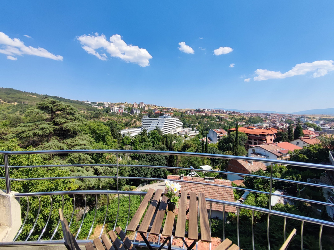 Strumyani酒店住宿-Hotel Avis