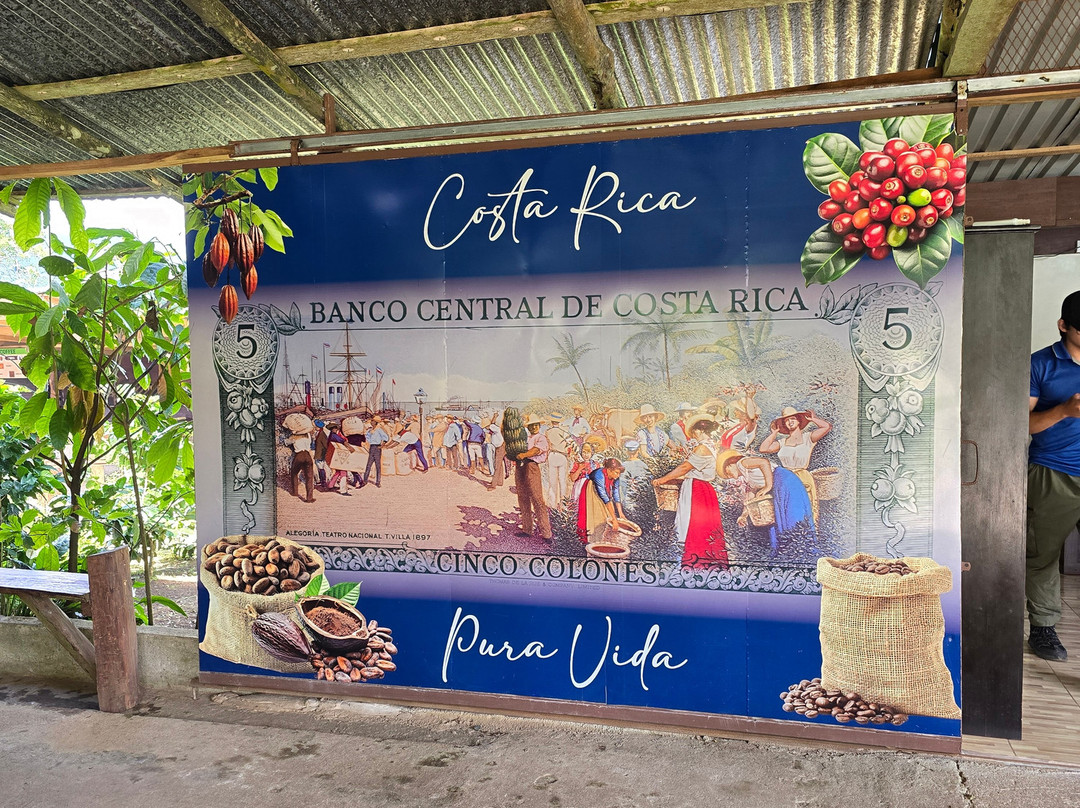 Cafe & Cacao Tour Bijagua-Bijagua de Upala必去景点