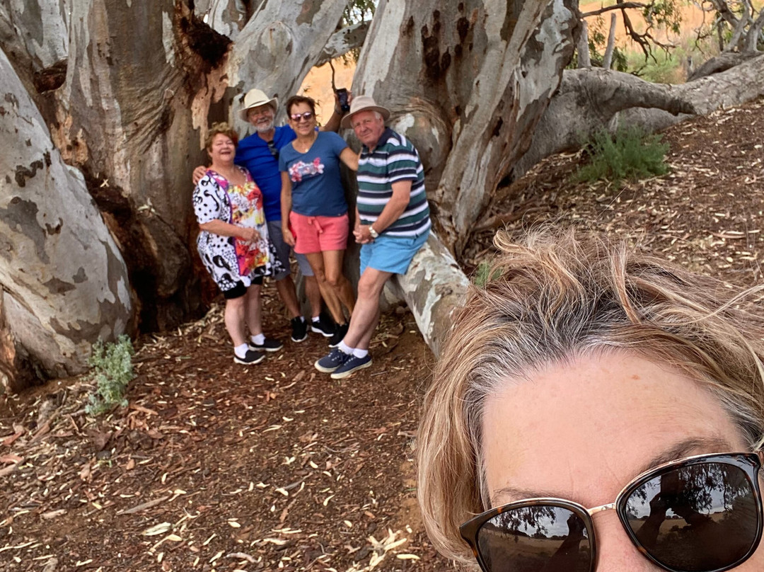 Discover Mildura - Day Tours-米尔杜拉必去景点