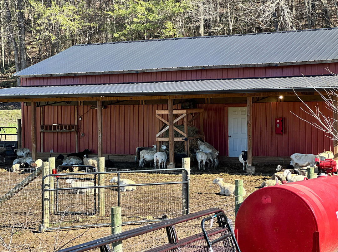 Cress Creeks Farm And Corn Maze-Ellijay必去景点