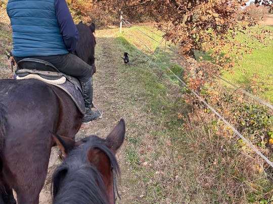 Horse Riding Tre Laghi-丘西必去景点