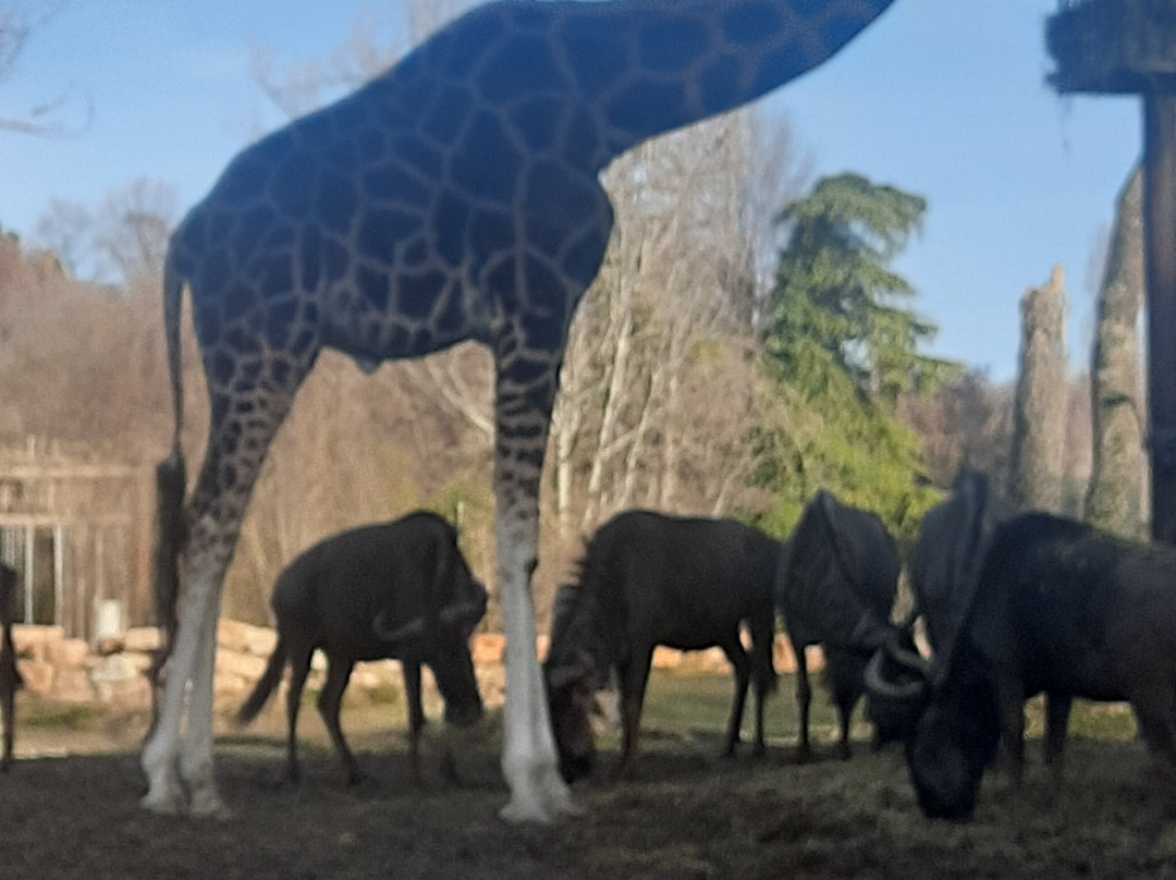 Parco Natura Viva-布索伦戈必去景点