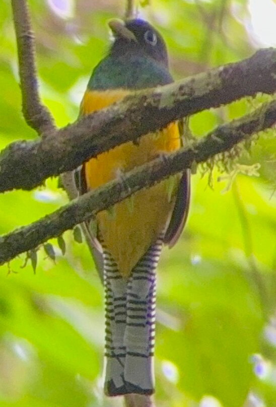 Costa Rica Focus-圣何塞必去景点