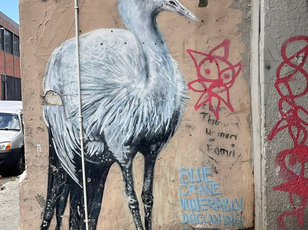 Juma Art Tours-Khayelitsha必去景点