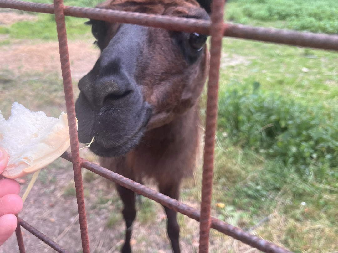 Oasi Delle Piane-Lama Mocogno必去景点