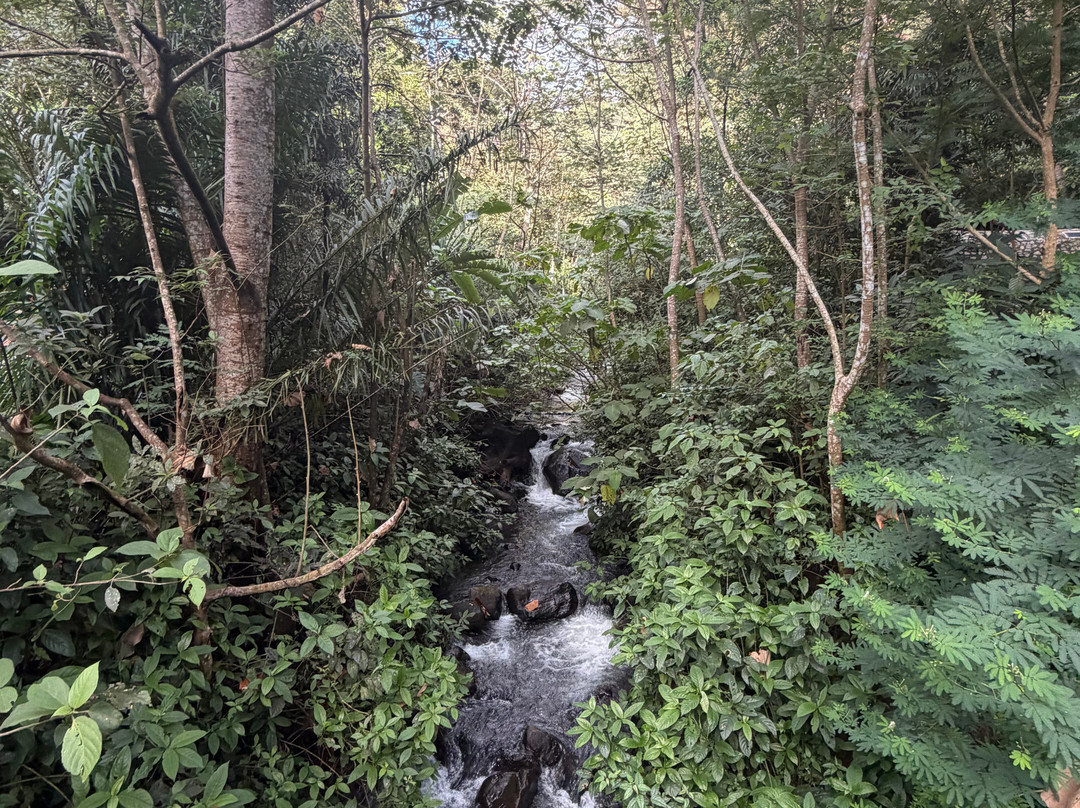 Buena Vista del Rincon Eco Adventure Park Hotel & Spa主图