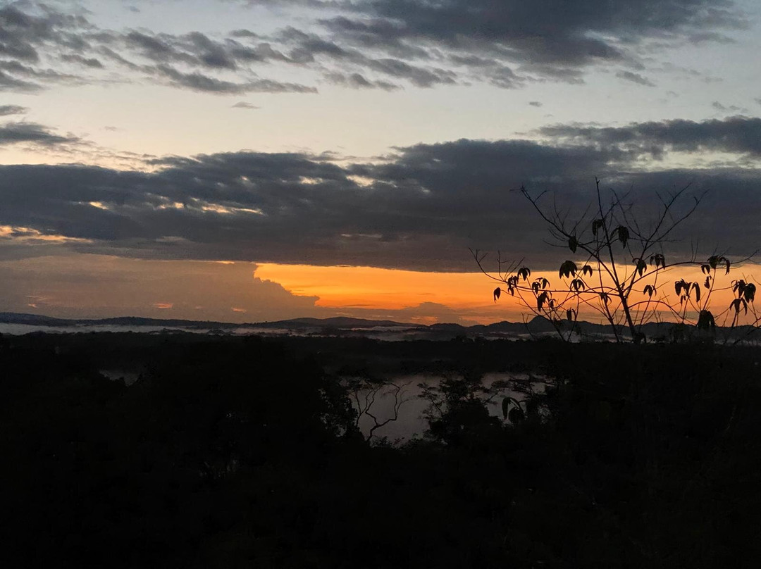 Inselberg Savane Roche Virginie-Regina必去景点