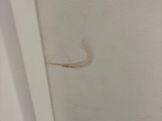 假日切斯特南部酒店主图