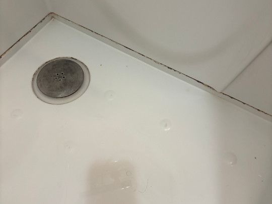 Le Paris Brest主图