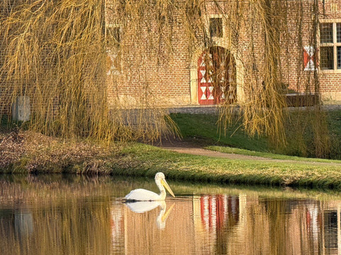 Schloss Raesfeld主图