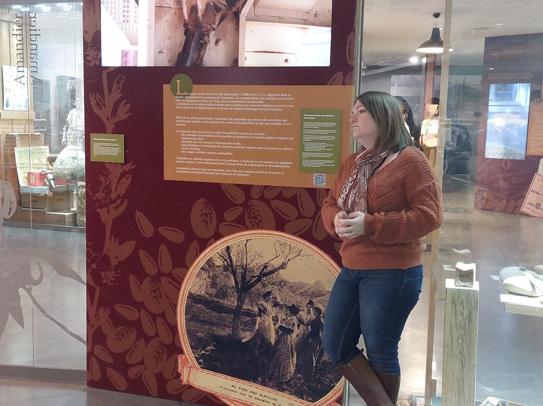 Musée du Calisson, Confiserie du Roy René-普罗旺斯必去景点