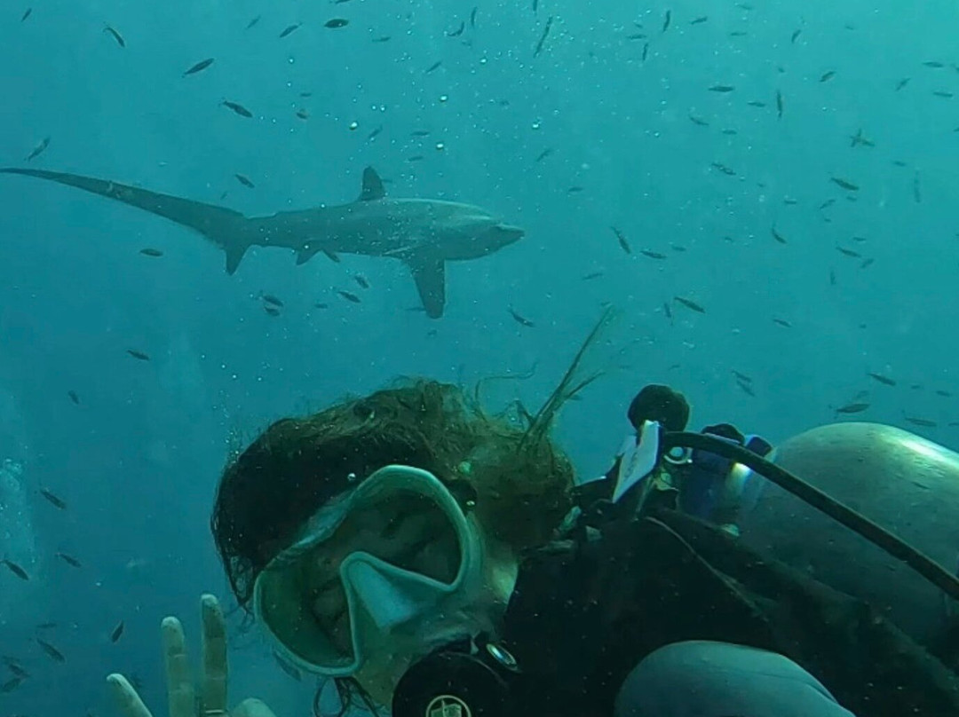 Mbi Divecenter-妈妈拍丝瓜岛必去景点