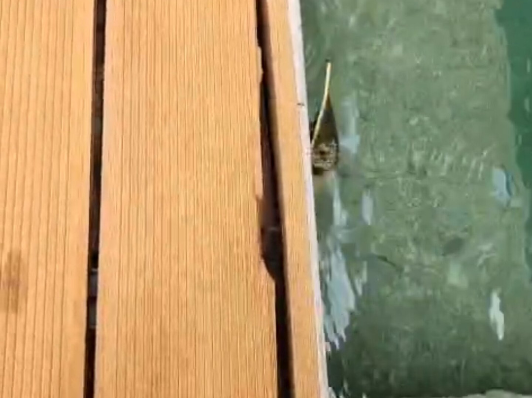 卡域拉贾别墅主图