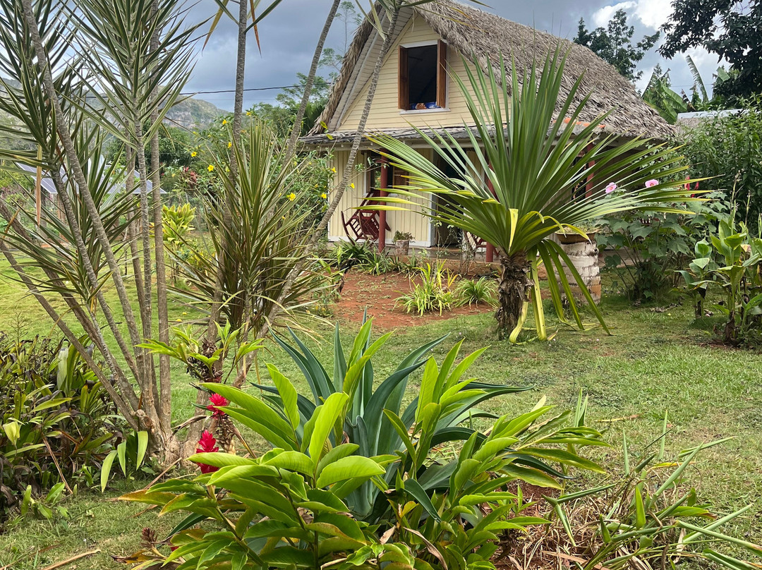 Finca L'Armonia-维纳勒斯必去景点