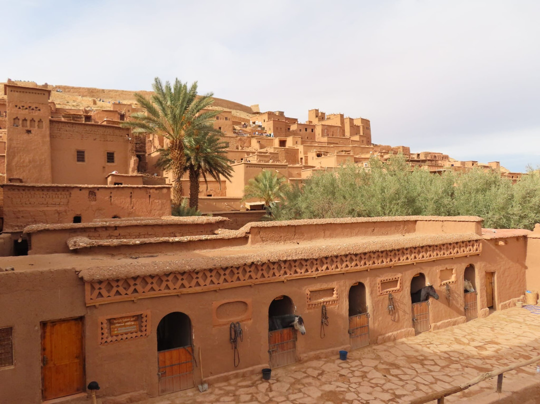 Top Dessert Tours-马拉喀什必去景点