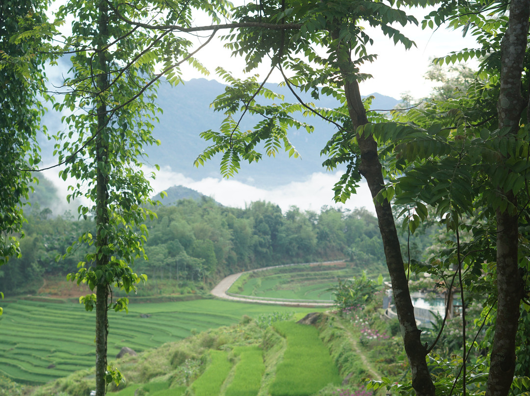 PuLuong Natura主图