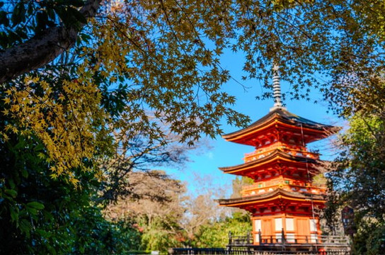 Diper Tour-成田市必去景点