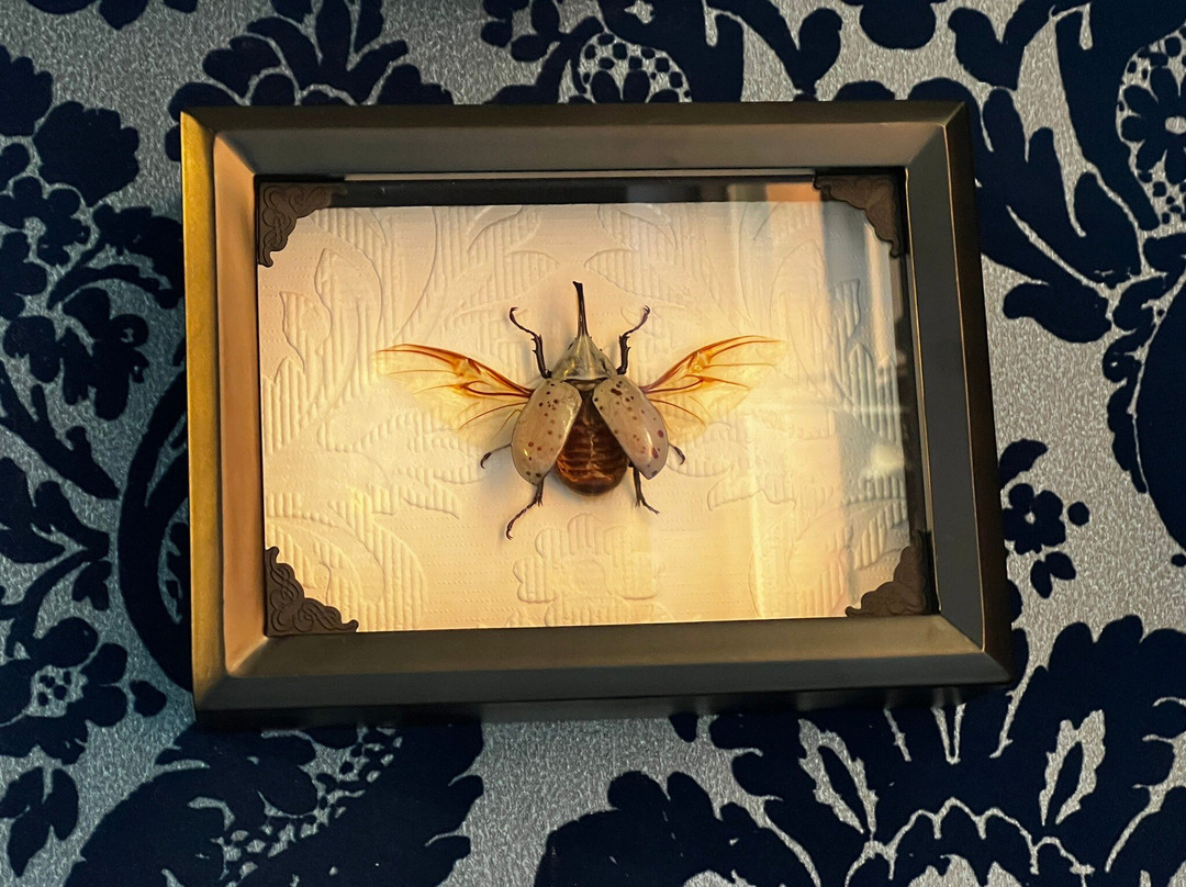 Once in a Blue Moon Tattoo