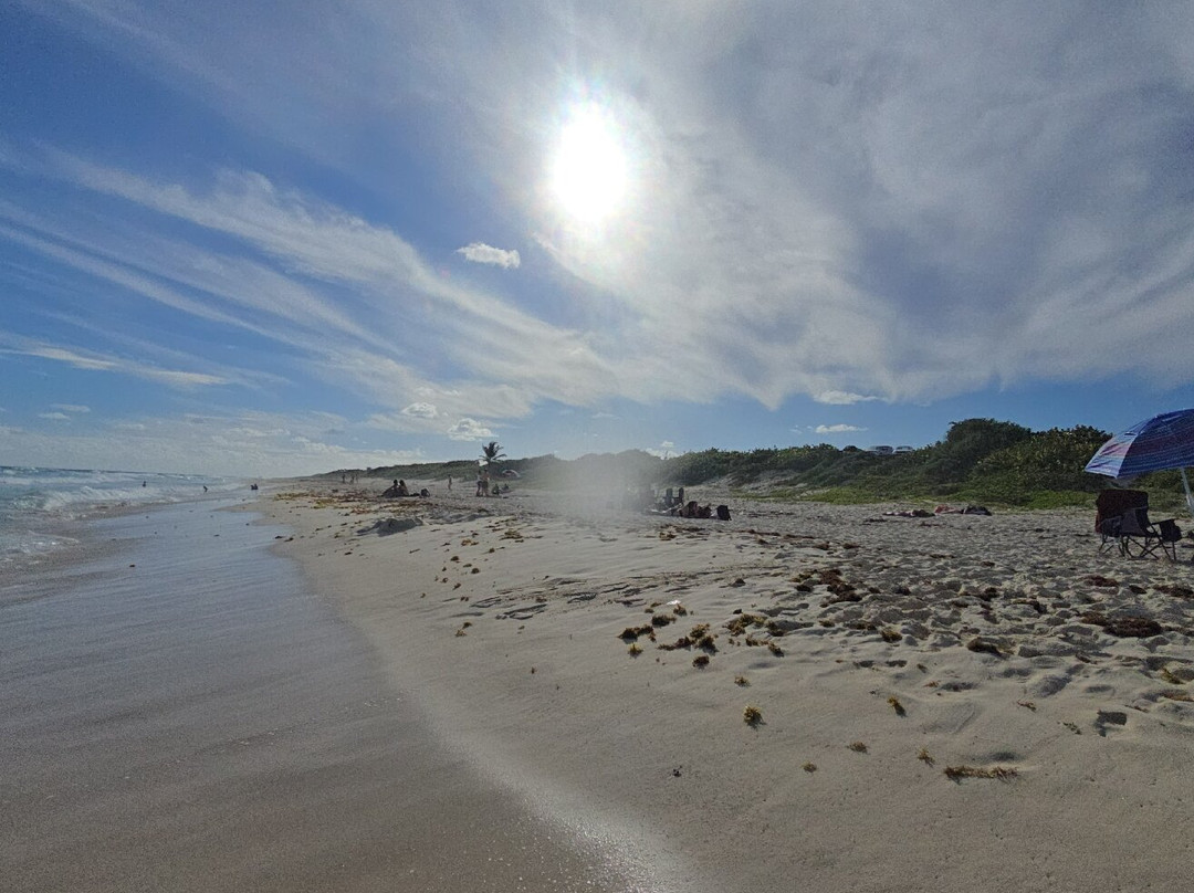 Playa Pública San Martín-考祖梅必去景点