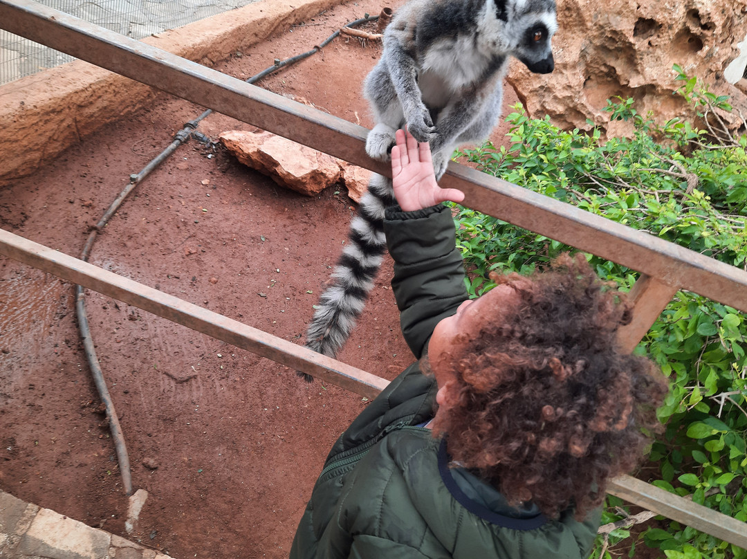 Pafos Zoo-帕福斯必去景点