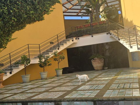 斯皮纳里酒店主图