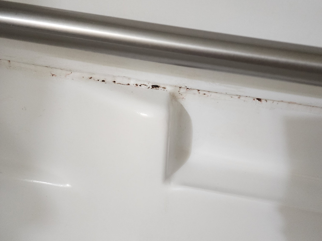 Super 8 by Wyndham Shelton主图