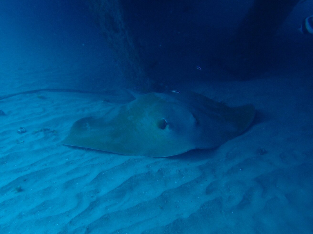 Scuba World-穆鲁拉巴必去景点