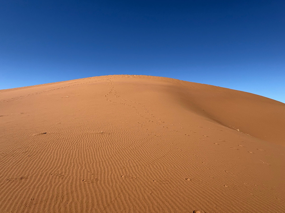 Sahara Soul Treks-扎古拉必去景点