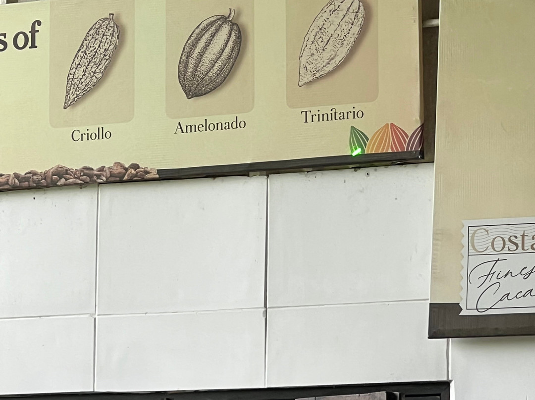 La Anita Rainforest Chocolate Tour-瓜纳卡斯特自然保护区必去景点