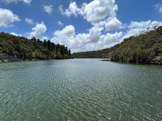 Nelson River Cruises-Nelson必去景点
